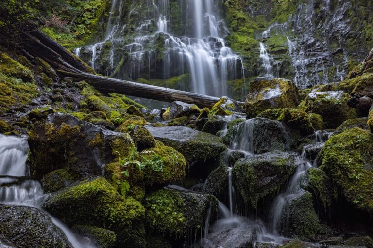 From Backpacking to Boutique Hotels: Exploring Diverse Travel Experiences